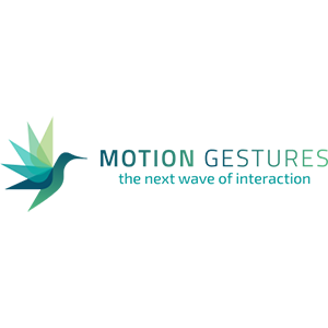 motion gestures